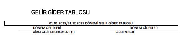 DÖNEM SONU MALİ TABLOLAR